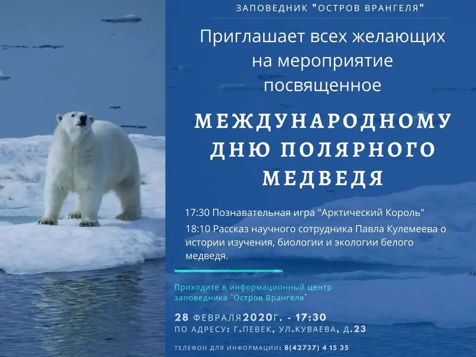 Белые дни в феврале. 27 Февраля Международный день белого медведя. Международный день полярного белого медведя 27 февраля. 27 Февраля праздник Международный день полярного медведя. Праздник полярного медведя 27 февраля.