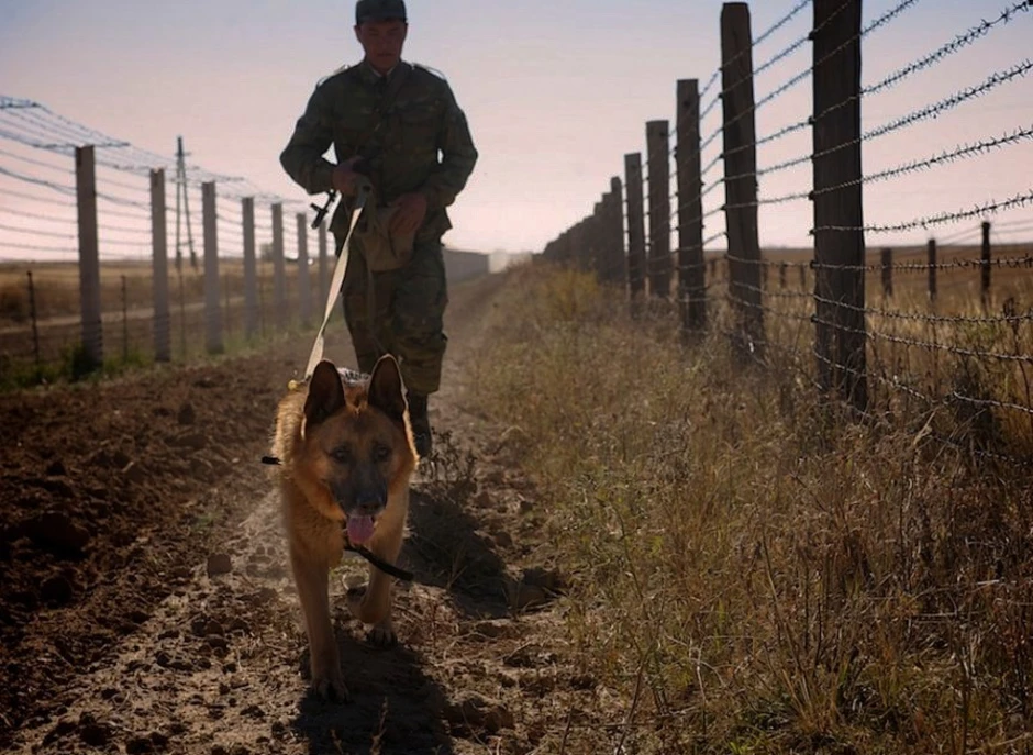 Пограничник пробуждение. Охрана границы. Пограничник с собакой. Пограничник на границе. Собака охраняет границу.