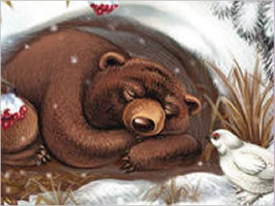 Спящий мишка в берлоге. Спящий медведь в берлоге рисунок. Медведь зимой в берлоге. Спящий медведь в берлоге.