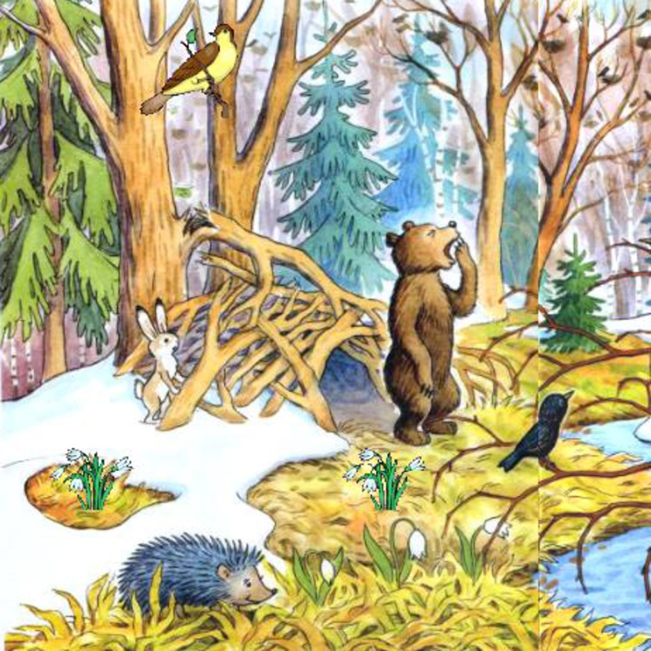 Пробирается медведь сквозь Лесной валежник. Животные весной. Медведь весной. Медведь весной в лесу. После зимней стужи по полям бегут