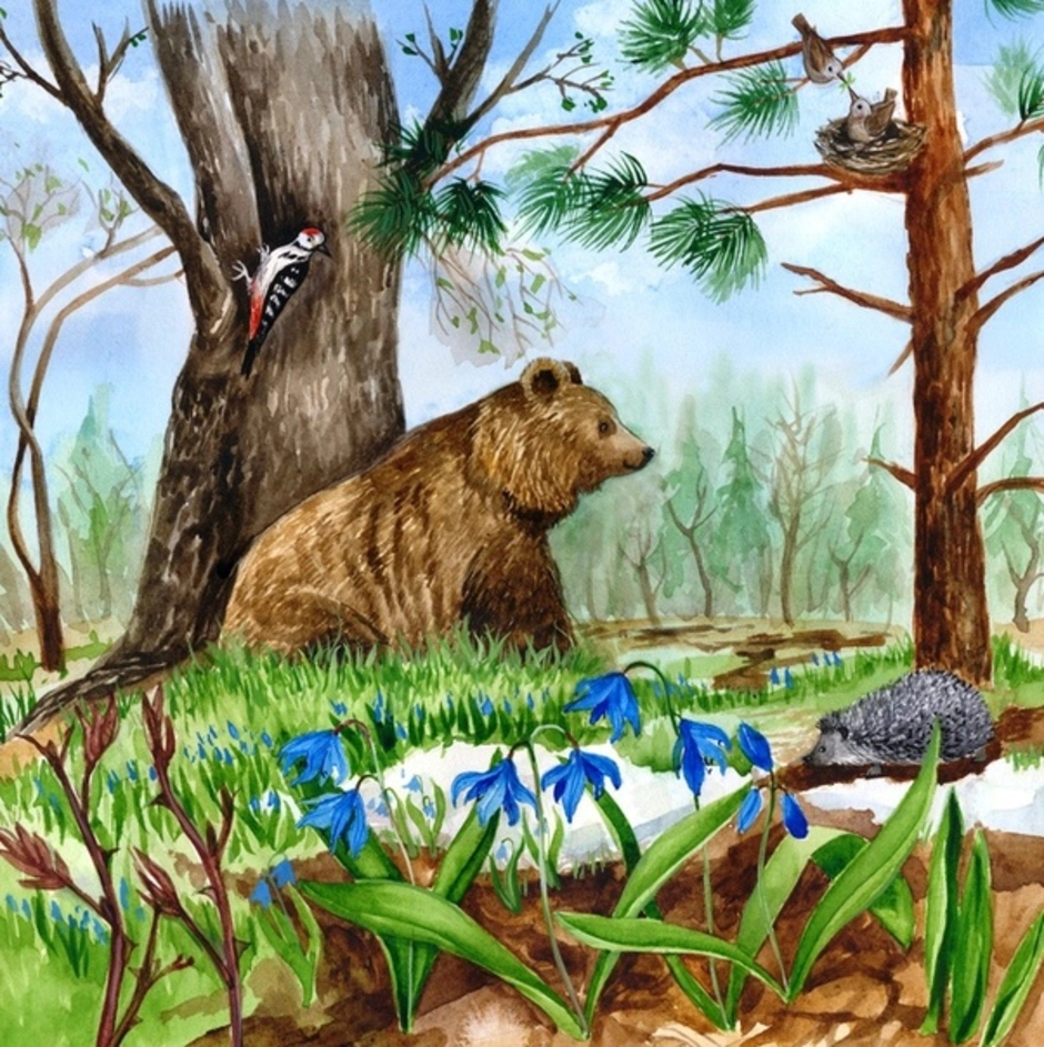 Сказка о жизни животных весной. Медведь весной. Медведь весной в лесу. Весенний лес для детей. Лес весной для дошкольников.