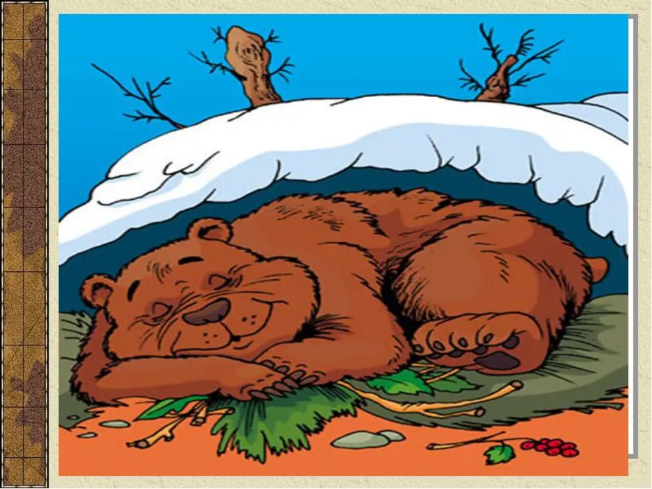 Почему медведь лапу. Берлога медведя. Медведь в берлоге для детей. Спящий медведь в берлоге.