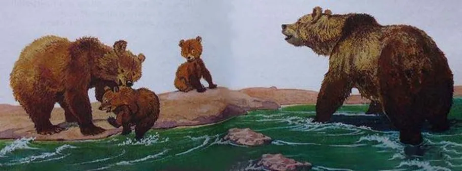 Бианки рассказы купание. Купание медвежат Бианки. Иллюстрации к рассказу купание медвежат Бианки. Рассказ Бианки купание медвежат. Медведь Бианки.