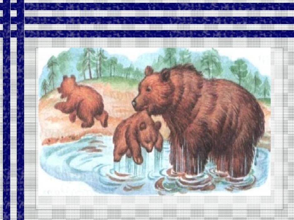 Картина купание медвежат Бианки. Иллюстрации к рассказу купание медвежат Бианки. Рассказ бианки купание медвежат
