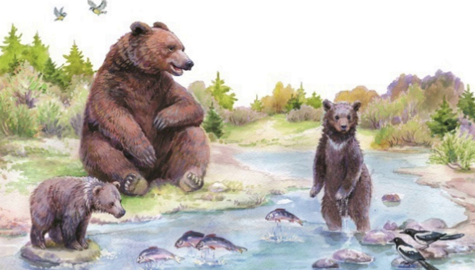 Бианки рассказы купание. Купание медвежат Бианки иллюстрации. Купание медвежат Бианки. Иллюстрации к рассказу купание медвежат Бианки. Рассказ Виталия Бианки купание медвежат.