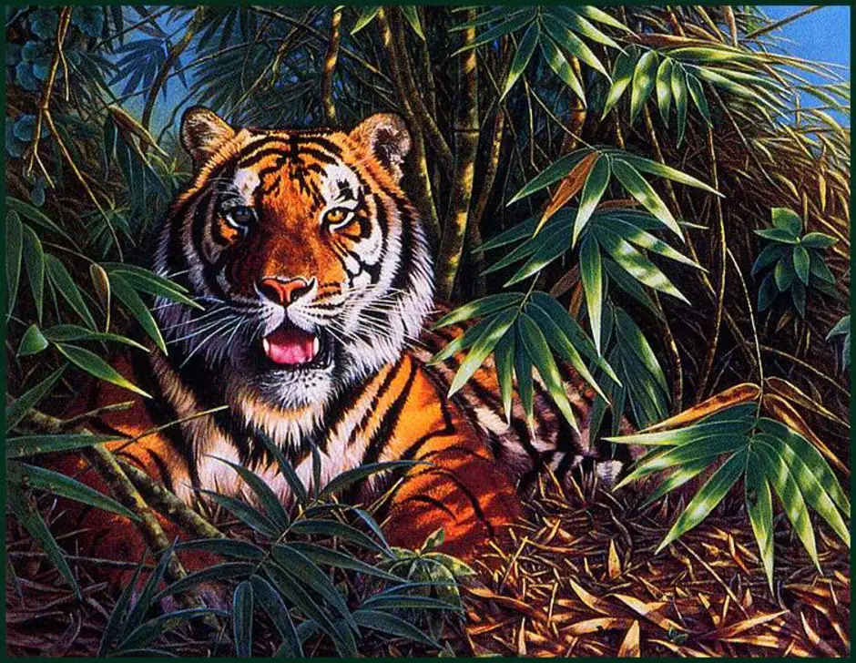 Тигр в джунглях. Тигр в зарослях. Тигр картина. Тигр в зарослях бамбука. Jungle tiger