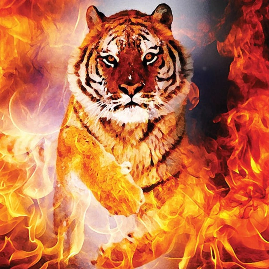 Красный тиг. Огненный тигр. Красный Огненный тигр. Тигр в огне. Тигр в пламени.