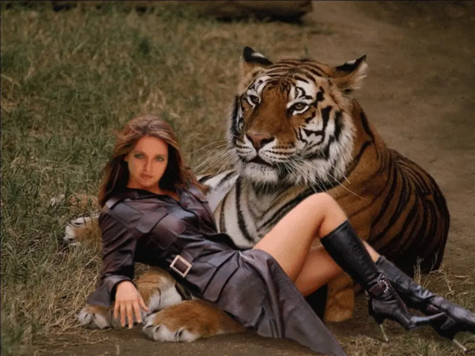 Мужчина тигр и женщина змея. Красивая девушка с тигром. Брюнетка с тигром. Фотосессия с тигром. Девушка с тигренком.