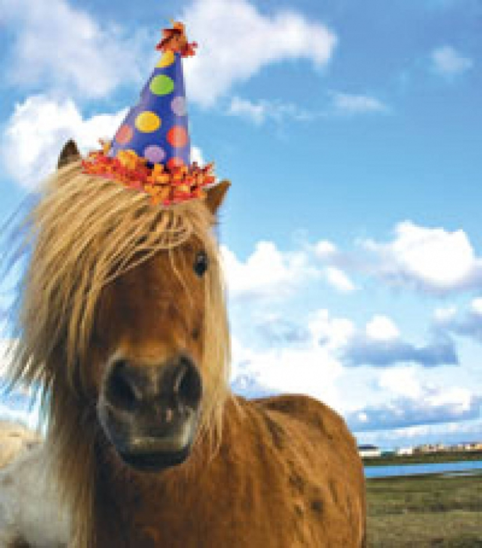 Рождение лошадки. С днём рождения с лошадью. Открытки с лошадьми с др. С днем рождения лошадка. Открытка с днём рождения с лошадью.