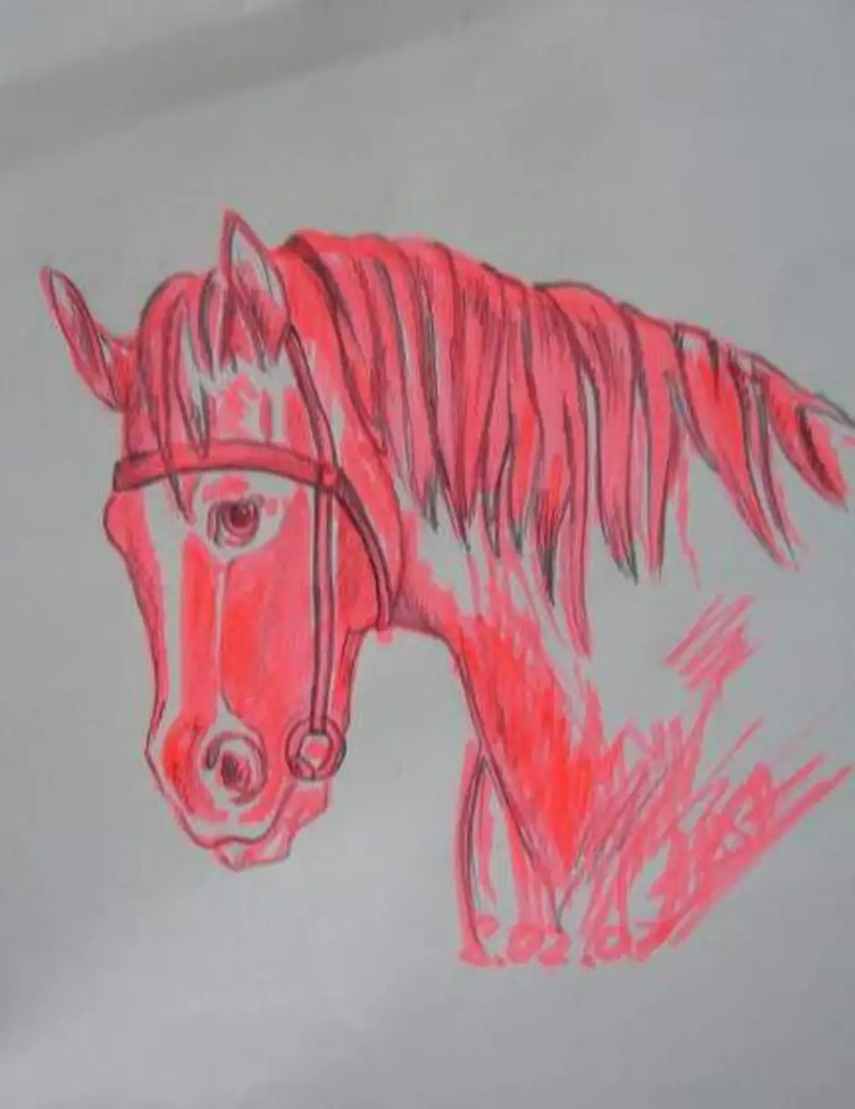 Год создания коня с розовой гривой