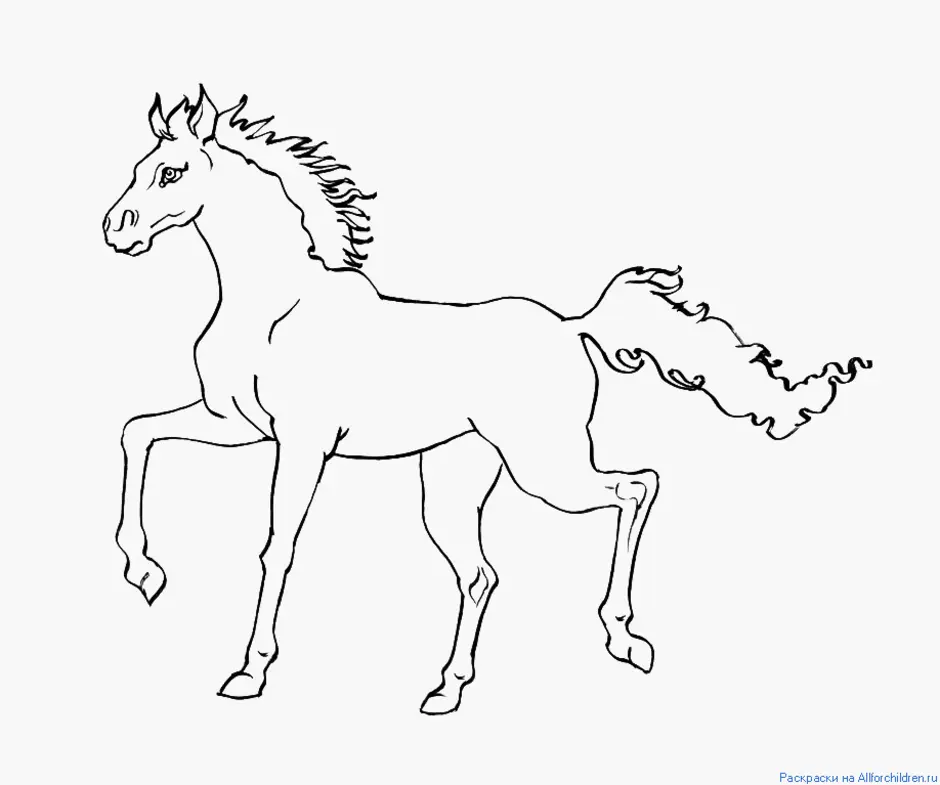 Конь с розовой гривой распечатать. Раскраска. Лошадка. Раскраска конь. Конь раскраска для детей. Трафарет лошади.