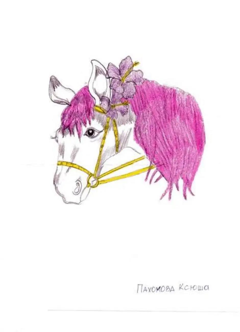 Конь с розовой гривой иллюстрации. Конь с розовой гривой рисунок. Лошадь с розовой гривой рисунок. Конь с розовой гривой рисунок коня.