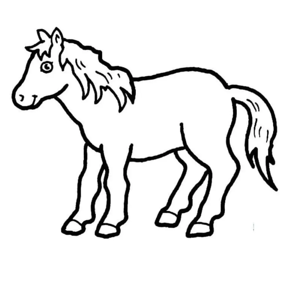 Раскраска. Лошадка. Контуры животных для детей. Раскраски животные для детей. Лошадь для раскрашивания.