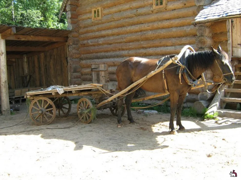 Невдалеке стояла телега. Повозка с лошадью. Телега с лошадью. Лошадь запряженная в телегу. Древняя телега с лошадью.