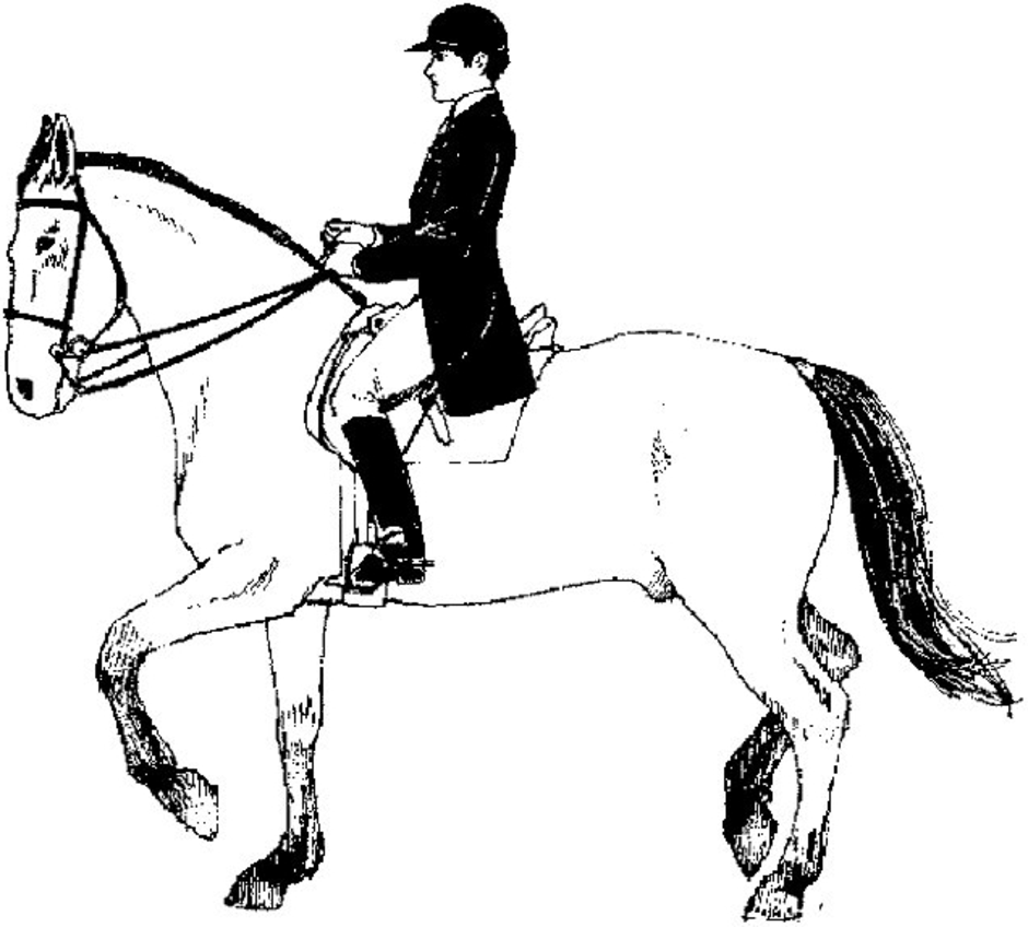 Раскраска всадник на лошади. Человек в седле. Всадник с лошадью. Раскраска лошадь с наездником.