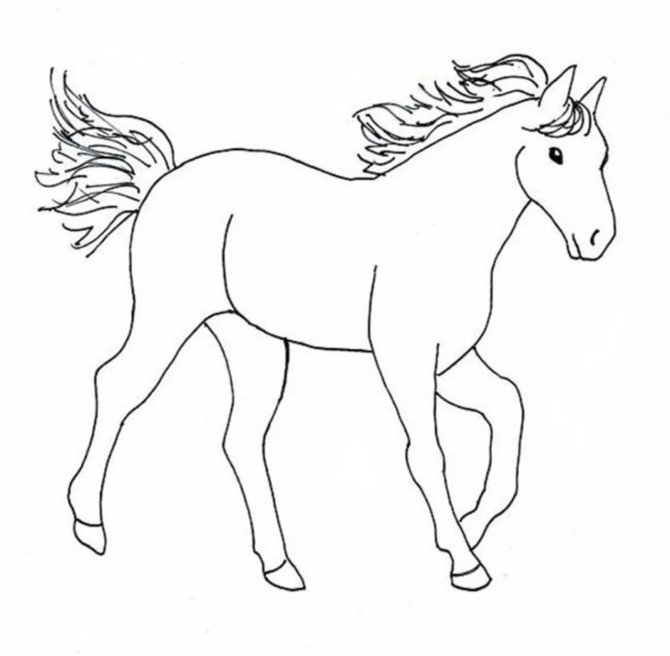 Лошадка рисунок. Раскраска конь. Лошадка раскраска для детей. Конь раскраска для детей.