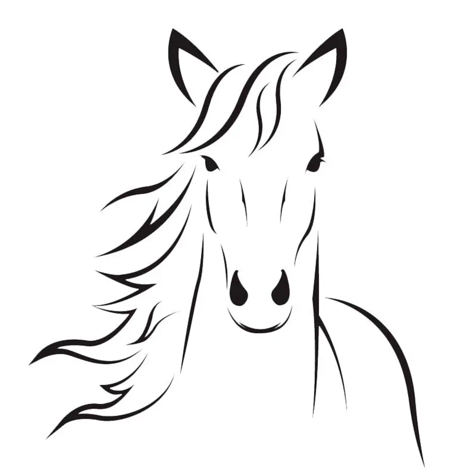 Лошадка черно белая. Лошадь рисунок. Лошадь для срисовки. Лошадь карандашом для срисовки. Рисунки лошадей для срисовки.