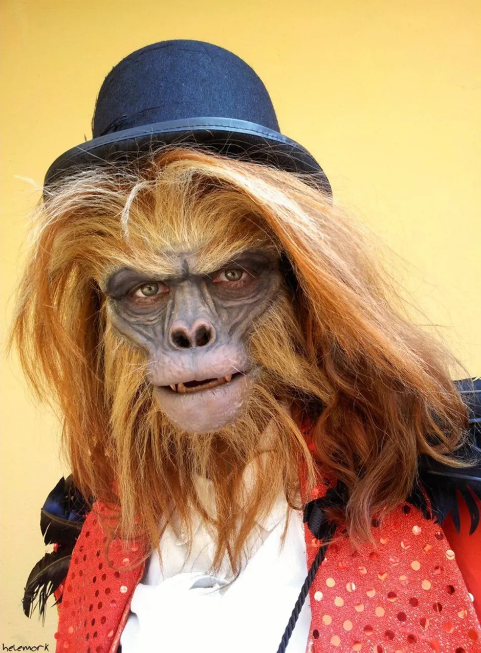 Шимпанзе девушку. Кунац меймун. Накрашенная обезьяна. Обезьяна с макияжем. Стильная обезьяна.