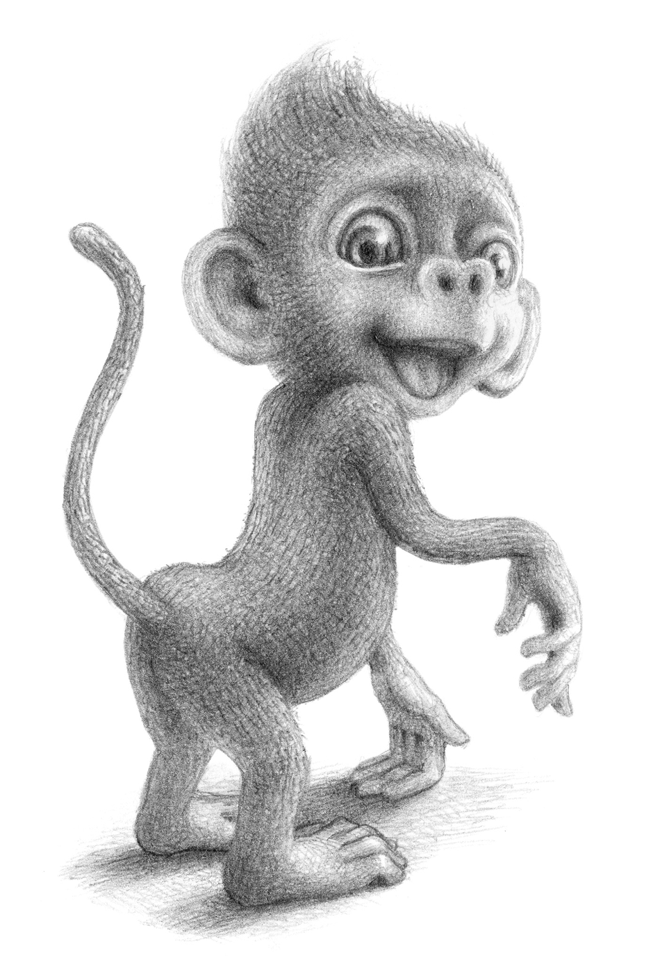 Рисунок макаки. Обезьяна рисунок. Нарисовать обезьяну. Обезьяна рисунок карандашом. Иллюстрация про обезьянку.
