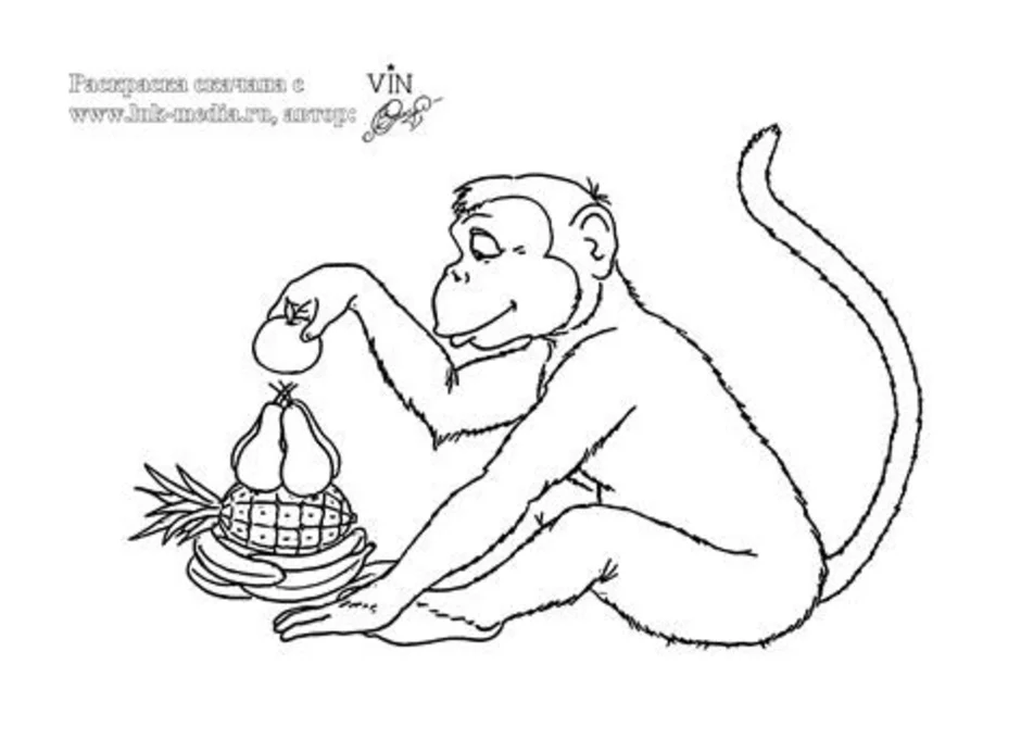 Рисунок про обезьянку житков