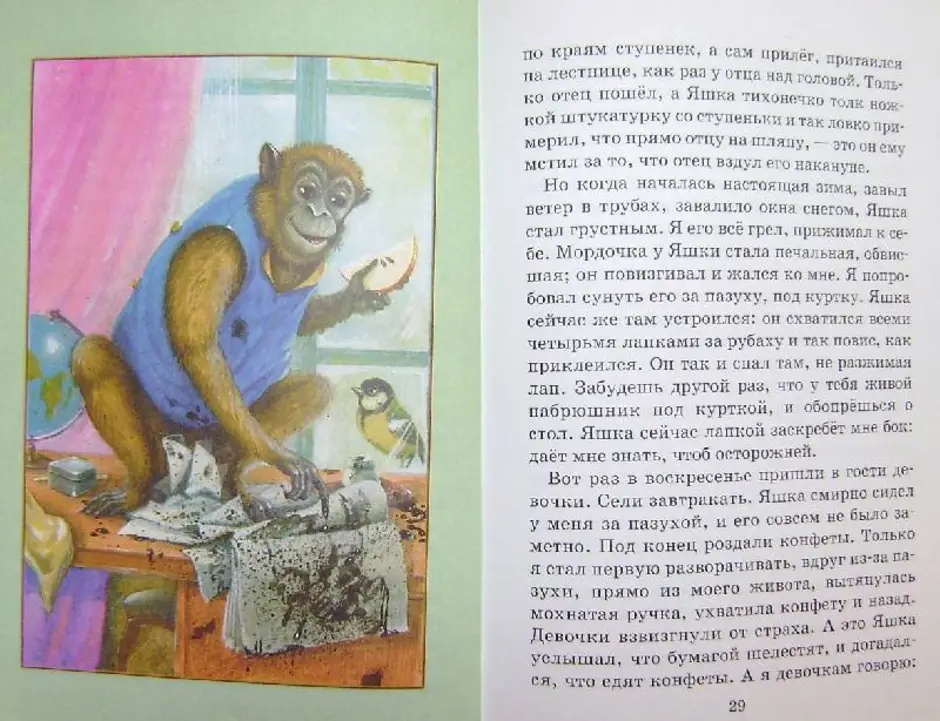 Рассказ приключения обезьяны