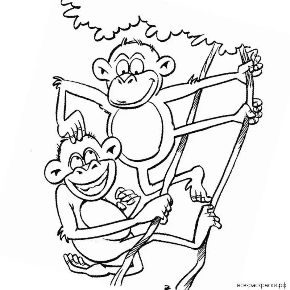 Рисунок про обезьянку 3 класс литературное чтение. Раскраска к рассказу Житкова про обезьянку. Раскраска к рассказу Житкова про обезьянку 3 класс. Обезьяна раскраска. Про обезьянку Житков раскраска.