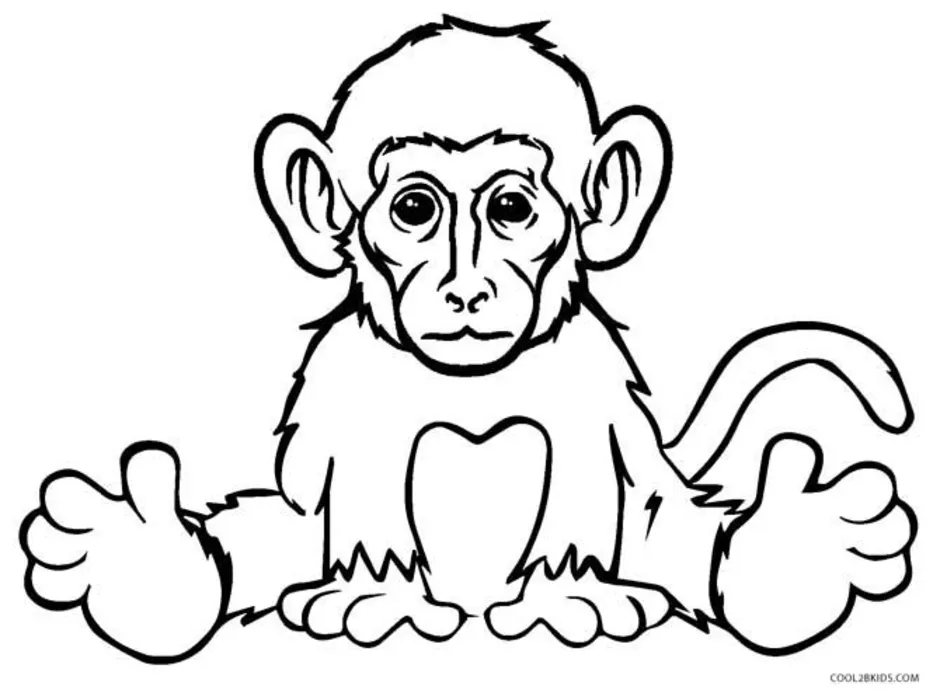 Рисунок к рассказу обезьянка. Житков про обезьянку 3 класс. Обезьяна раскраска. Обезьяна раскраска для детей. Обезьяна рисунок.