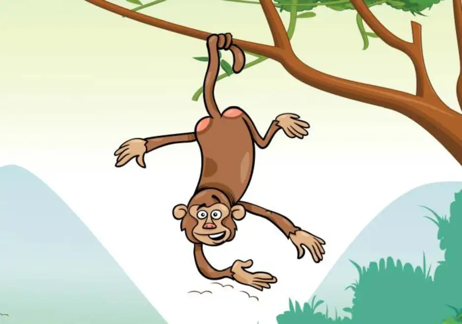 Про обезьянку ответы. Загадка про обезьяну. Обезьяна для детей. Обезьяна на дереве рисунок. Загадка про обезьяну для детей.