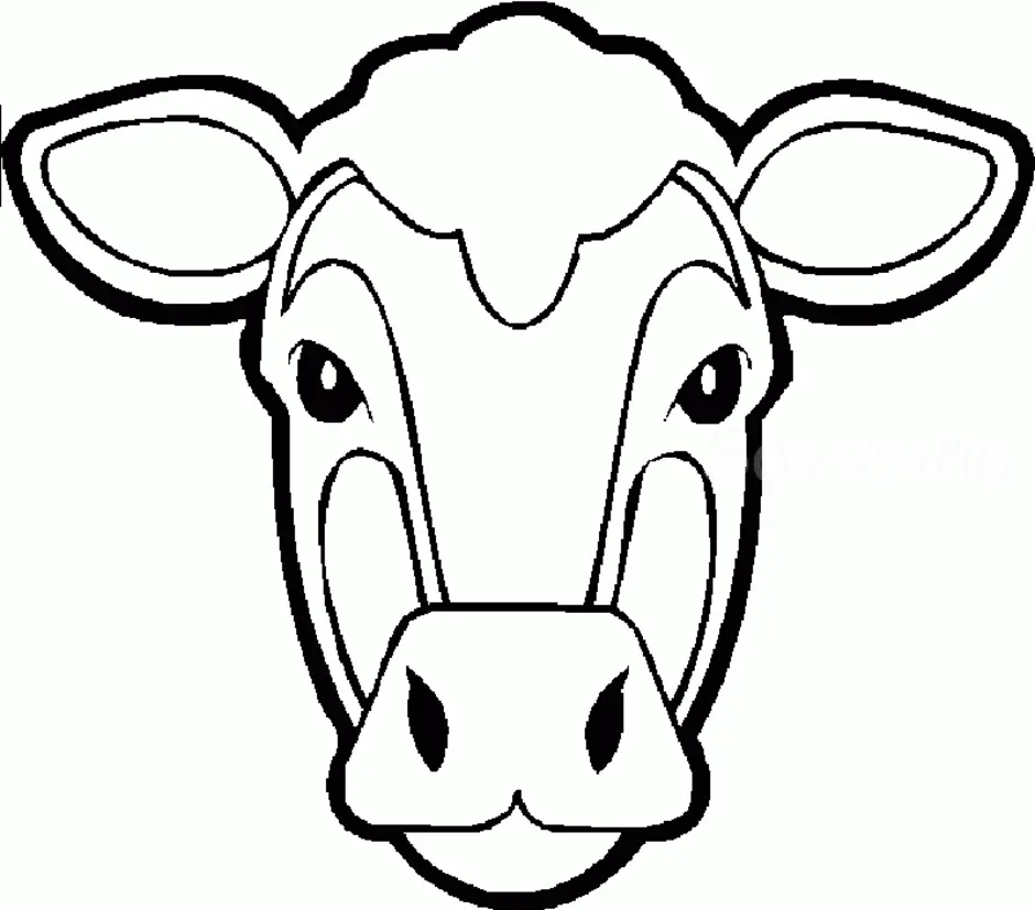 Голова коровки. Раскраска корова. Мордочка коровы. Корова раскраска для детей. Голова коровы раскраска.