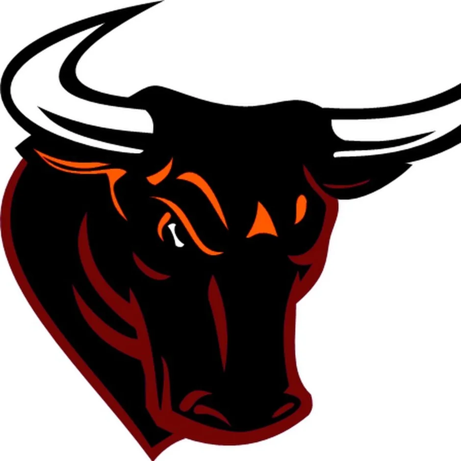 Логотипы быков. Таурус бык Телец. Морда быка. Значок быка. Голова быка.