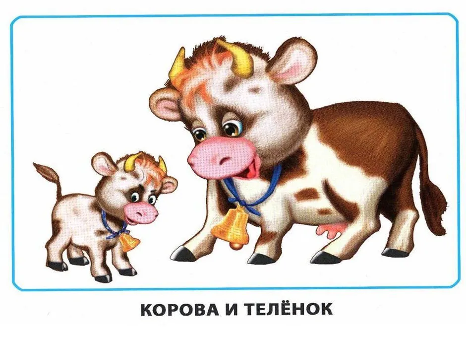 Корова и теленок картинки для детей