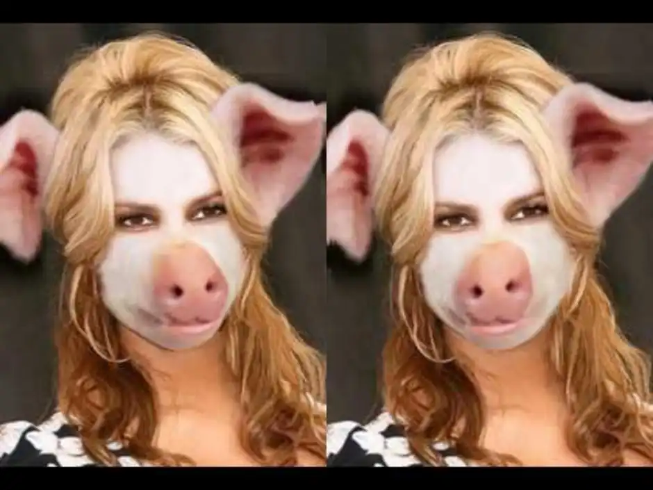 Как превратиться в свинью. Женщина превратилась в свинью.