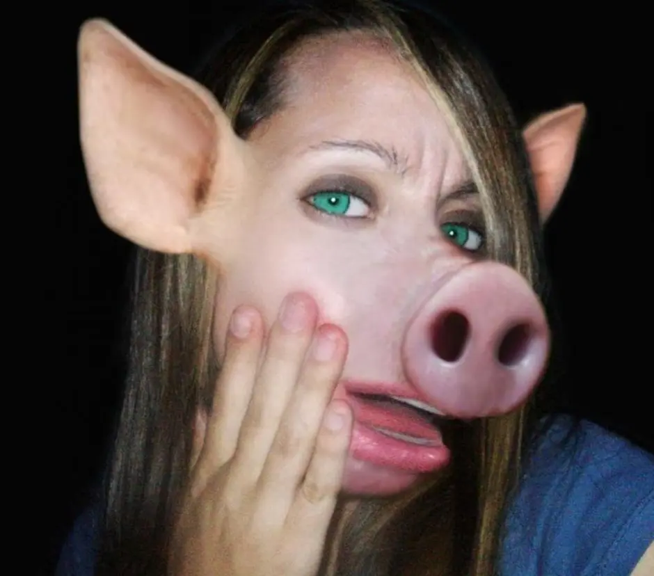 Глупые свиньи