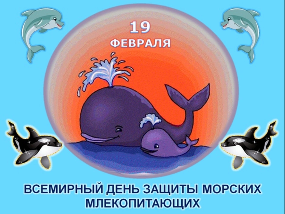 Какие праздники 19 февраля 2024. 19 Февраля Всемирный день защиты морских млекопитающих. 19 Февраля Всемирный день кита день морских млекопитающих. Всемирный день китов (день защиты морских млекопитающих). День морских млекопитающих 19 февраля.
