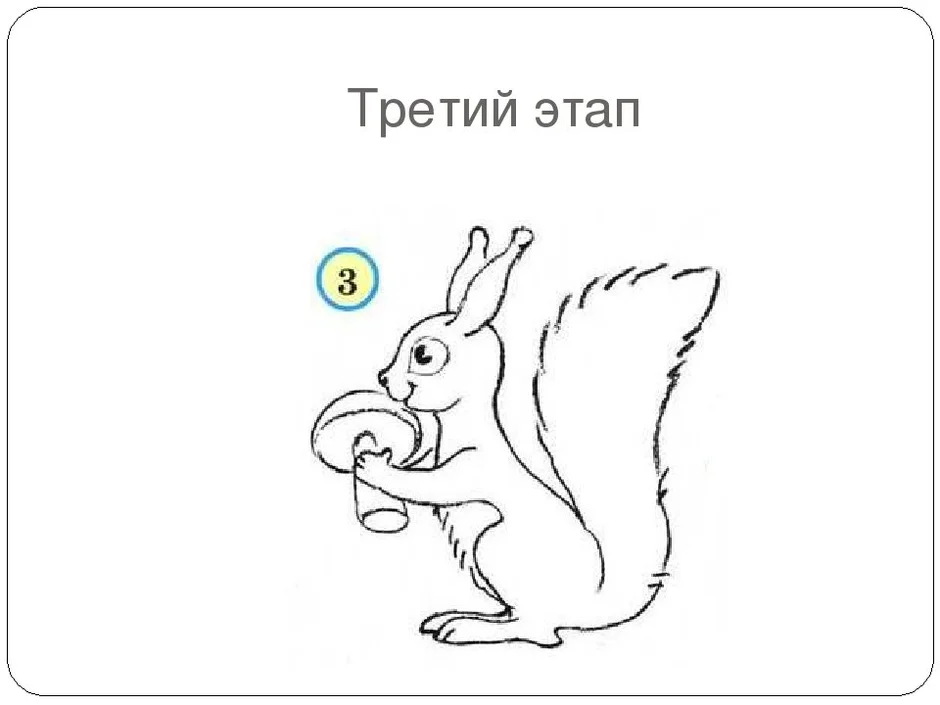 Как нарисовать белку карандашом поэтапно для детей 6 лет