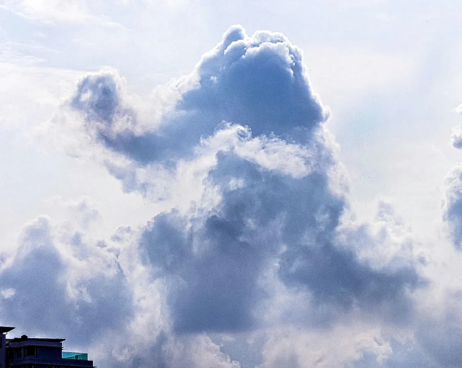 Необычные облака. Облака интересной формы. Облако в виде слона. Облако в форме слона.