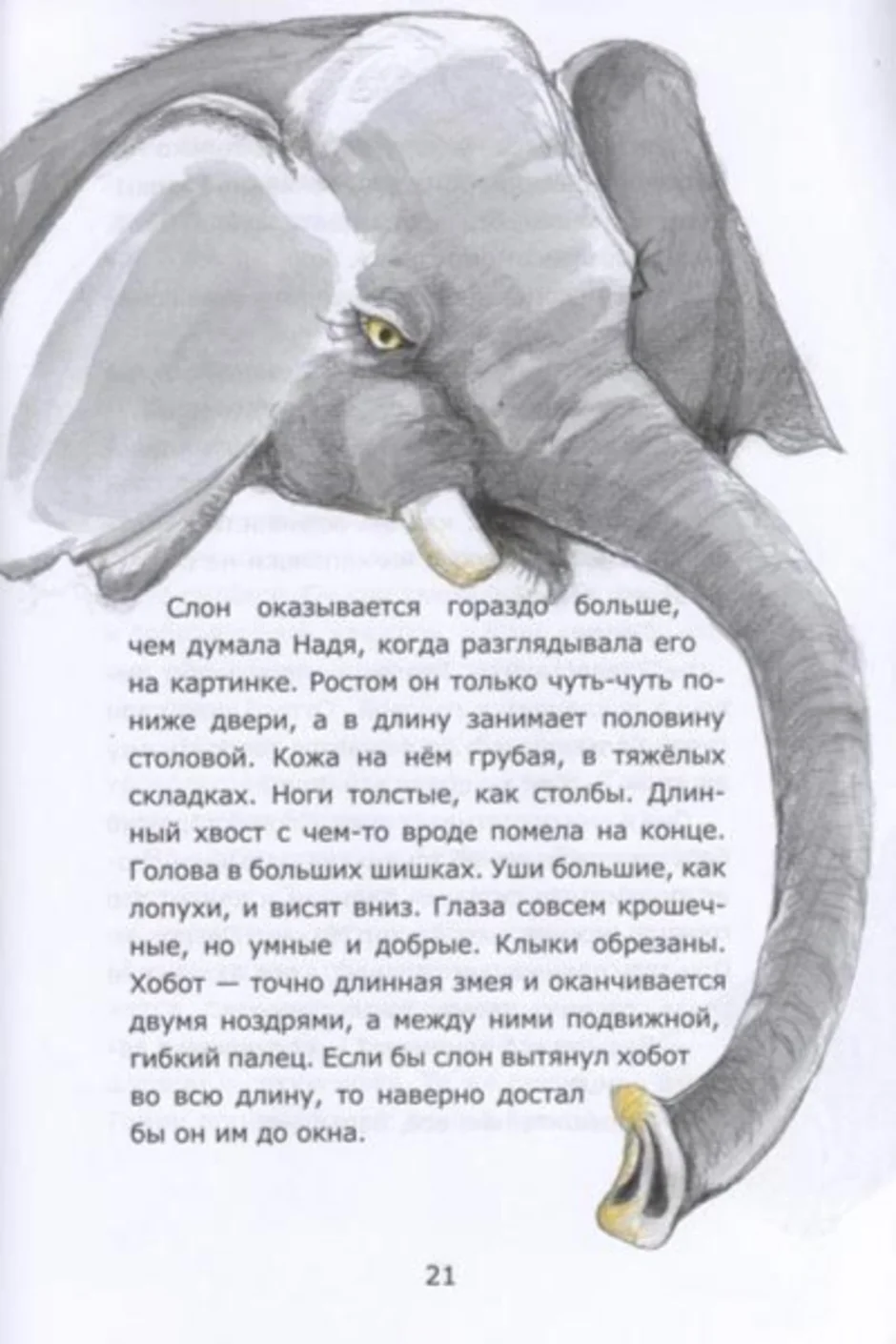 Слоников краткое