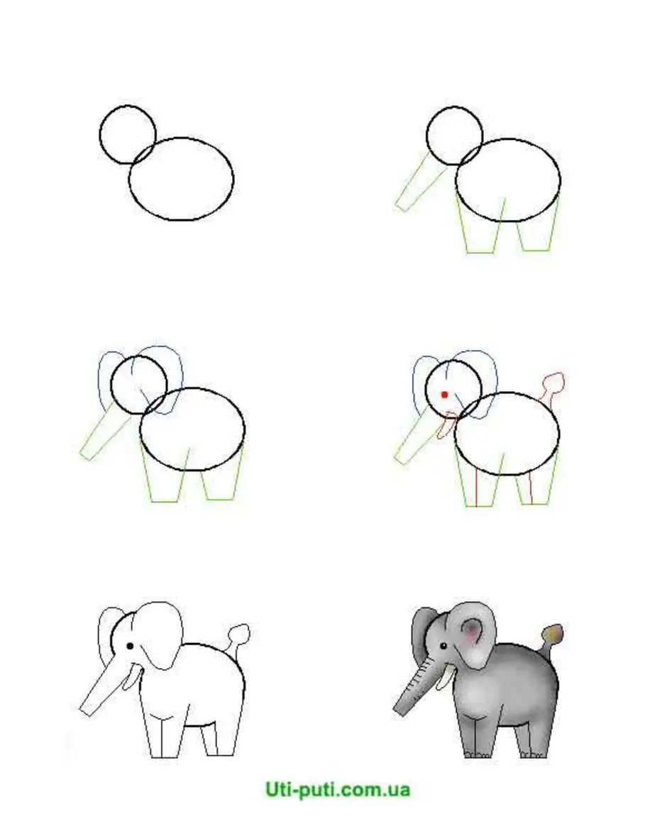 Поэтапное рисование карандашом слона
