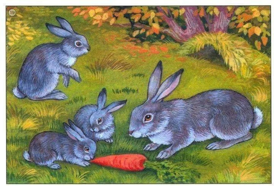 Развитие речи зайцы старшая группа. Заяц с зайчонком. Зайчик в лесу. Зайчиха с зайчонком. Заяц с зайчатами в лесу.