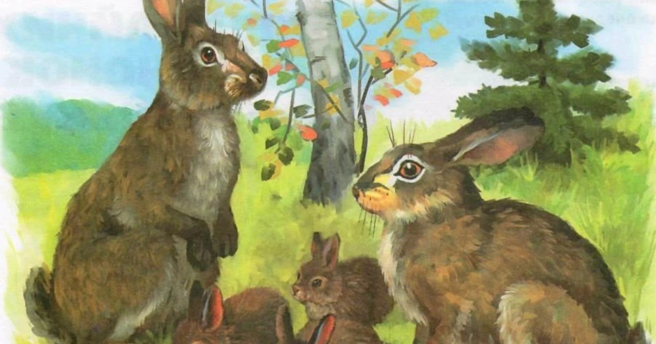 Развитие речи зайцы старшая группа. Зайчиха с зайчатами для детей. Заяц с зайчонком. Зайчиха с зайчонком. Детеныши диких животных для детей.