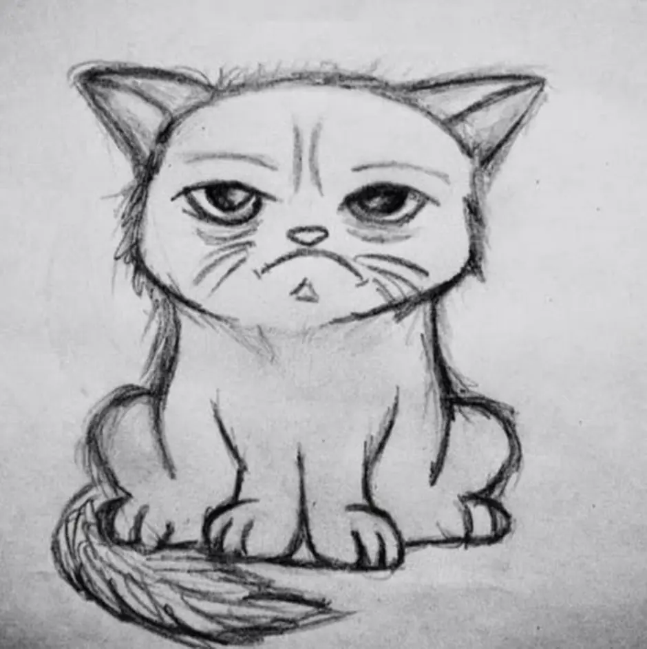 Милый котик рисунок карандашом легкий. Рисунки для срисовки котики. Рисунок кошки карандашом для срисовки. Рисунки для срисовки лёгкие котики. Милые рисунки для срисовки карандашом.