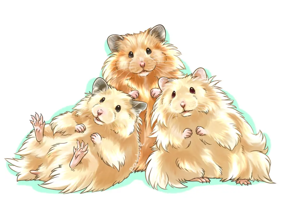 Hamster family. Три хомяка. Хомяк рисунок. Хомяк мультяшный.