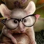 Крыса в очках