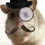 Крыс в шляпе