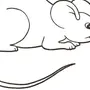 Картинка мышки раскраска