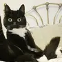 Смешные фотки котиков