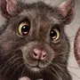 Злобная Мышь Картинки