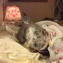 Спящая мышь
