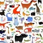 Найти мышку на картинке среди кошек