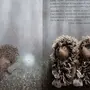 Ежик В Тумане Картинки С Надписями